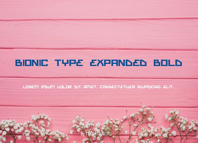 Bionic Type Expanded Bold example